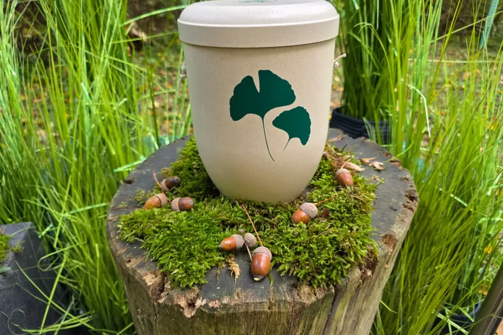 Helle Urne mit grünem Ginkgo-Motiv auf einem mit Moos und Eicheln dekorierten Baumstumpf